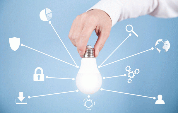 چگونه طوطی برزیلی را آموزش دهیم؟ 19 نکته کاربردی